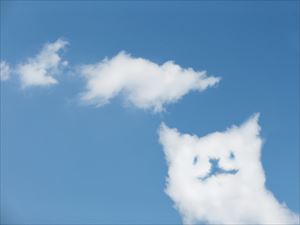 猫のような雲